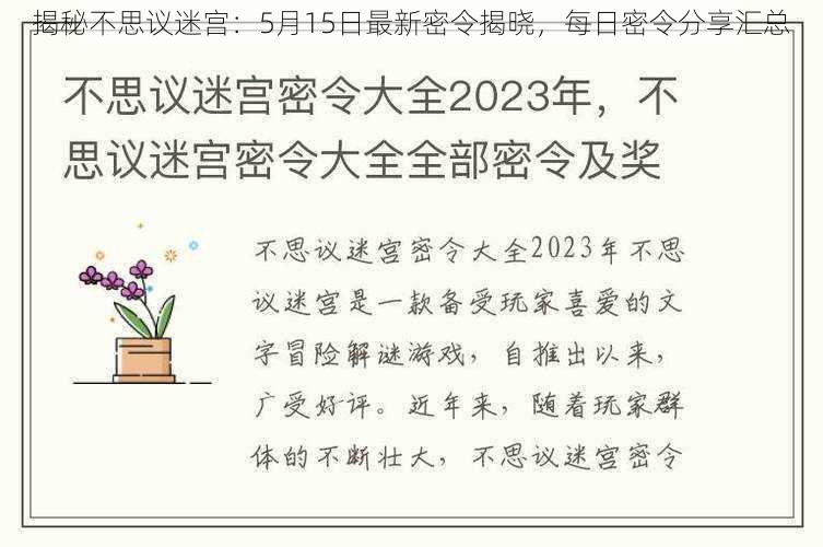 揭秘不思议迷宫：5月15日最新密令揭晓，每日密令分享汇总