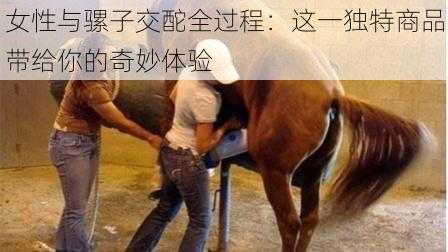 女性与骡子交酡全过程：这一独特商品带给你的奇妙体验